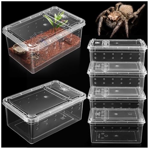 Kleine Springspinnengehege, 6 Stück, Spinnen-Terrarien, Spinnenzuchtbox, Insektenbehälter, transparenter Schlüpfbehälter, Kunststoff-Futterbox – 6 Stück Super Mini Kleine Springspinnengehege, 6 Stück, Spinnen-Terrarien, Spinnenzuchtbox, Insektenbehälter, transparenter Schlüpfbehälter, Kunststoff-Futterbox – 6 Stück Super Mini von Harhana
