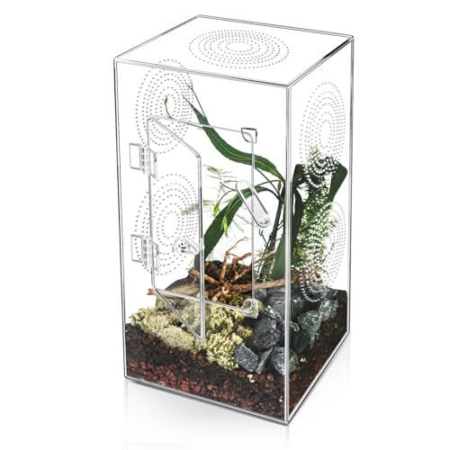 Springspinnengehege, großes Acryl-Terrarium für Vogelspinnen, Reptilien-Tank mit Tür vorne zum Öffnen, Habitat-Zubehör, 29 x 15 x 15 cm Springspinnengehege, großes Acryl-Terrarium für Vogelspinnen, Reptilien-Tank mit Tür vorne zum Öffnen, Habitat-Zubehör, 29 x 15 x 15 cm von Harhana