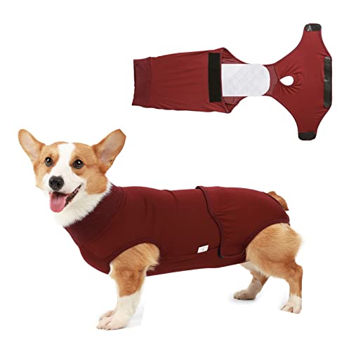 Genesungsanzug für Hunde und Katzen, nach Operationen, professionelles Haustier-Erholungsshirt verhindert Lecken, E-Halsband mit Windel (Rot, Größe XXS von Harikaji
