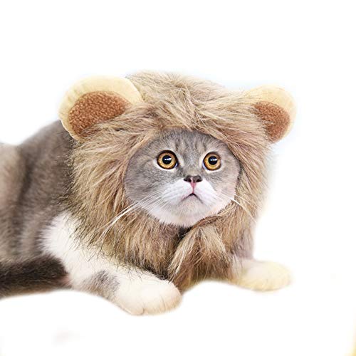 Harikaji Halloween-Kostüm für Haustiere, lustige Löwenmähne, Kopfbedeckung mit Perücken für Katzen, kleine, mittelgroße Hunde (Braun, M) von Harikaji