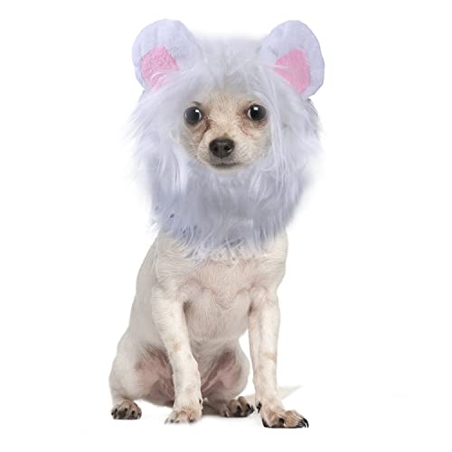 Harikaji Halloween-Kostüm für Haustiere, lustige Löwenmähne, Kopfbedeckung mit Perücken für Katzen, kleine, mittelgroße Hunde (Weiß, M) von Harikaji