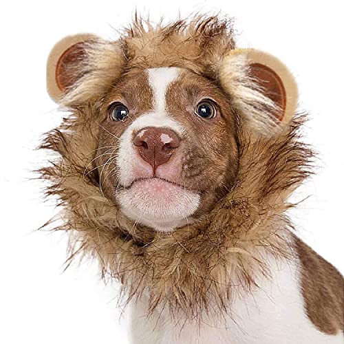 Harikaji Haustier-Halloween-Kostüm, lustige Löwenmähne, Kopfbedeckung mit Perücken für Katzen, kleine, mittelgroße Hunde (Braun, L) von Harikaji