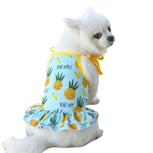 Harikaji Haustierkleidung, schönes Sommer-T-Shirt mit Früchten, Welpenkleidung, Hunderock, Katzenkleidung für kleine Hunde, Katzen, Welpen (Rückenlänge 35 cm, Ananasrock) von Harikaji