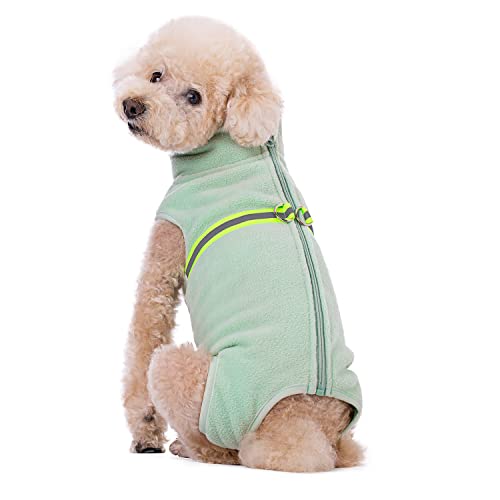 Harikaji Hunde-Fleeceweste, warme Winterjacke mit D-Ring, Kaltwettermantel für kleine Hunde und Katzen (Mintgrün, L) von Harikaji