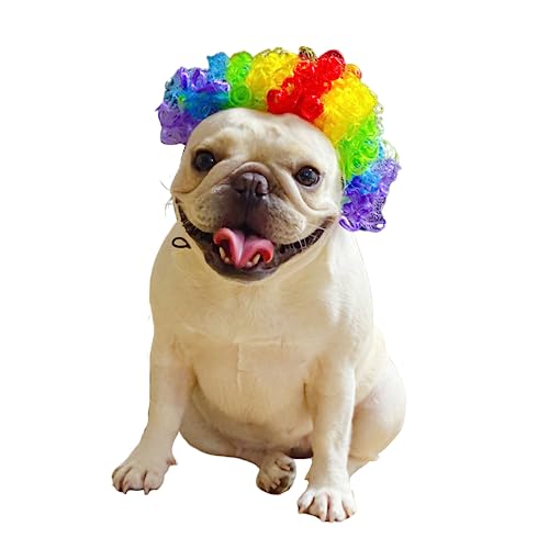 Harikaji Hunde-Perücke, lustige Cosplay-Perücke, Haustier-Perücke für Halloween, Foto-Party, Festival, Regenbogen gelockt von Harikaji