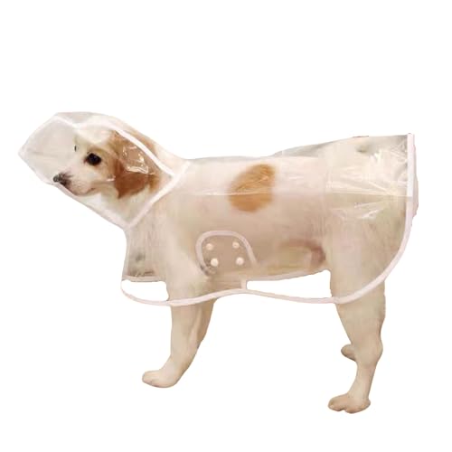 Harikaji Regenmantel für kleine Hunde, wasserdicht, für Welpen, transparent, für kleine Hunde, Katzen (XXL, Weiß) von Harikaji