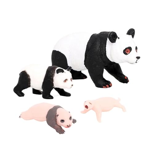 Harilla 4X Panda-Tier-Lebenszyklus-Modell, kognitives Spielzeug, pädagogisches Spielzeug, Party-Desktop-Dekoration, Klassenzimmer-Zubehör für Kinder, Mädchen, Panda-Wachstumszyklus 2 von Harilla