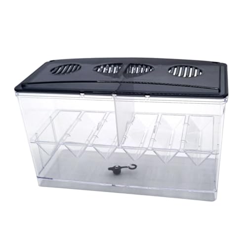 Harilla Aquarium-Isolationsbox, Brutkasten, leicht zu reinigende Brutei-Isolation mit Trennwand, Fischzuchtbox für Babyfische Harilla Aquarium-Isolationsbox, Brutkasten, leicht zu reinigende Brutei-Isolation mit Trennwand, Fischzuchtbox für Babyfische von Harilla