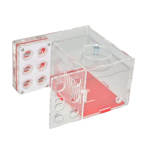 Harilla Housing Nest Farm Compact DIY Lernspielzeug Werkstatt Acryl Farm Cage für Tischplatte Wohnzimmer Küche, 1.5 cm Harilla Housing Nest Farm Compact DIY Lernspielzeug Werkstatt Acryl Farm Cage für Tischplatte Wohnzimmer Küche, 1.5 cm von Harilla