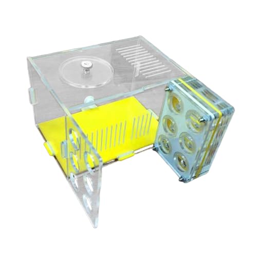 Harilla Housing Nest Farm Compact DIY Lernspielzeug Werkstatt Acryl Farm Cage für Tischplatte Wohnzimmer Küche, 1.8 cm Harilla Housing Nest Farm Compact DIY Lernspielzeug Werkstatt Acryl Farm Cage für Tischplatte Wohnzimmer Küche, 1.8 cm von Harilla
