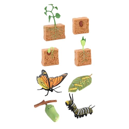 Harilla Lebenszyklus-Lernfiguren-Spielzeug, Wissenschaftsspielzeug, Schmetterlings- und Bohnenpflanzen, Montessori für Jungen und Mädchen, Partygeschenke, Harilla Lebenszyklus-Lernfiguren-Spielzeug, Wissenschaftsspielzeug, Schmetterlings- und Bohnenpflanzen, Montessori für Jungen und Mädchen, Partygeschenke, von Harilla