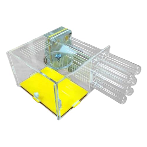 Harilla Nest Workshop DIY Kompakt Transparent zu montierender Farm Habitat für Küchentisch Kindertagsliebhaber, 1.8 cm Harilla Nest Workshop DIY Kompakt Transparent zu montierender Farm Habitat für Küchentisch Kindertagsliebhaber, 1.8 cm von Harilla