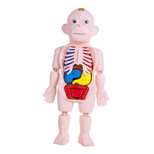 Harilla Puzzles für Junge : Anatomie und Körper von Harilla
