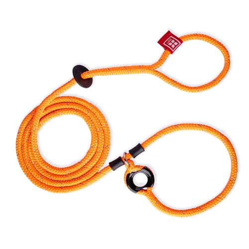 Harness Hundeleine mit Geschirr. Harness Hundeleine mit Geschirr. von Harness Lead