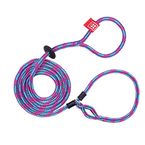 Harness Lead Hundegeschirr und Leine, Anti-Zieh-Hundegeschirr für alle Rassen und Größen, einteiliges gepolstertes Seil-Design, verhindert sicher das Entweichen und Ziehen (Größe S/M, Reef) von Harness Lead