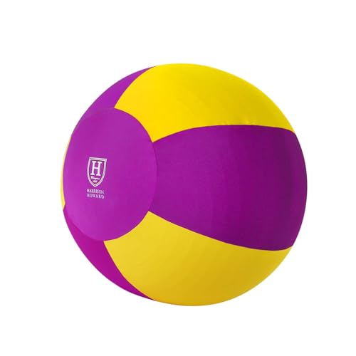 Harrison Howard Howdy Bally Pferdespielball-Abdeckung, Mega-Ball-Abdeckung für Pferde, exklusive lustige Muster, schützende Ballabdeckung, violetter Sonnenaufgang, 101,6 cm von Harrison Howard