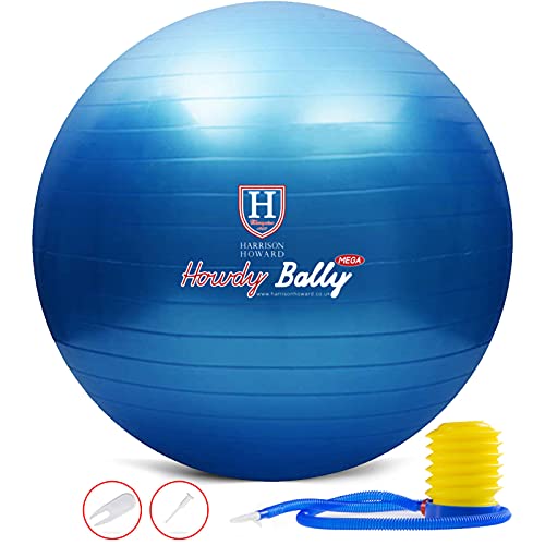 Harrison Howard Mega Horse Spielball Anti-Burst Riesen-Pferdeball Pferdeball 25 Zoll von Harrison Howard