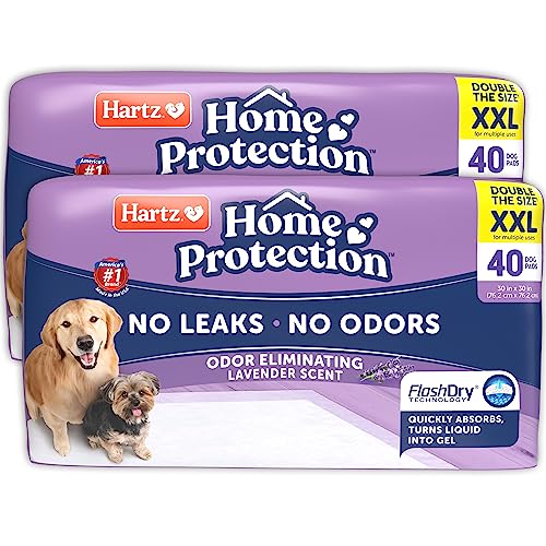 Hartz Home Protection Hundeunterlagen, geruchsbeseitigend, sehr saugfähig und auslaufsicher, Lavendelduft, Größe XXL, 80 Stück von Hartz