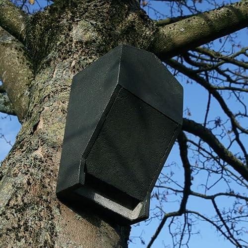 HASSELFELDT Fledermaus Großraumhöhle aus Holzbeton | Wetterfest | Fledermausquartier | Fledermauswochenstube | Großraumhöhle | Sommerquartier| Fledermauskasten| Fledermaus-Haus | Selbstreinigend HASSELFELDT Fledermaus Großraumhöhle aus Holzbeton | Wetterfest | Fledermausquartier | Fledermauswochenstube | Großraumhöhle | Sommerquartier| Fledermauskasten| Fledermaus-Haus | Selbstreinigend von Hasselfeldt