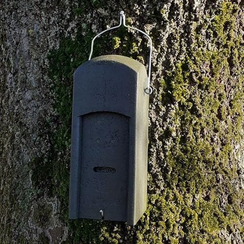 HASSELFELDT Fledermaus-Kuppelhöhle aus Holzbeton | Wetterfest | Fledermausquartier | Fledermauswochenstube | Großraumhöhle | Sommerquartier | Fledermauskasten | Fledermaus-Haus | Selbstreinigend von Hasselfeldt