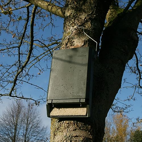 HASSELFELDT Fledermaus-Spaltenkasten aus Holzbeton für Kleinfledermäuse | Fledermausquartier | Fledermauswochenstube | Großraumhöhle | Sommerquartier| Fledermauskasten| Fledermaus-Haus|Selbstreinigend von Hasselfeldt