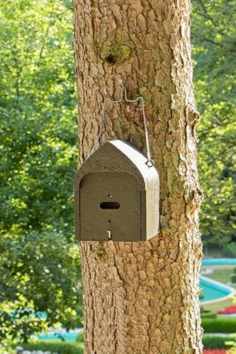 HASSELFELDT Fledermaushöhle aus Holzbeton mit dreifacher Vorderwand 12mm | Wetterfest | Fledermausquartier | Fledermauswochenstube | Großraumhöhle | Sommerquartier| Fledermauskasten| Fledermaus-Haus von Hasselfeldt