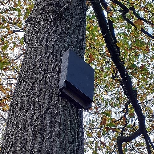 HASSELFELDT Fledermausspaltenkasten Dr. Nagel aus Holzbeton | Wetterfest | Fledermausquartier | Fledermauswochenstube | Sommerquartier | Fledermauskasten | Fledermaus-Haus | Selbstreinigend von Hasselfeldt