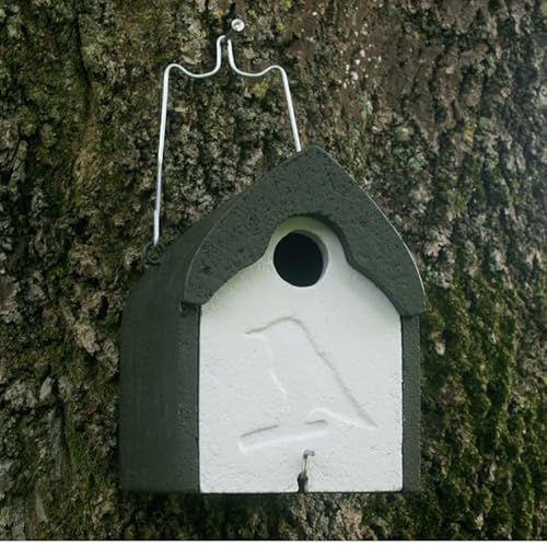 HASSELFELDT Nistkasten Holzbeton für Stare, Gartenrotschwänze & Mittelspecht | Brutkasten für Vögel Wetterfest | Vogelhäuser für draußen | Nisthaus für Vögel Draussen | Vogelhaus Specht HASSELFELDT Nistkasten Holzbeton für Stare, Gartenrotschwänze & Mittelspecht | Brutkasten für Vögel Wetterfest | Vogelhäuser für draußen | Nisthaus für Vögel Draussen | Vogelhaus Specht von Hasselfeldt