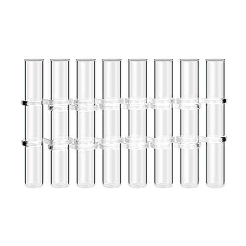 Glas-Reagenzglas-Pflanzen-Terrarium, Blumentöpfe, Desktop-Pflanzen-Terrarium für Garten, Hydrokultur, Hochzeit, Heimdekoration Glas-Reagenzglas-Pflanzen-Terrarium, Blumentöpfe, Desktop-Pflanzen-Terrarium für Garten, Hydrokultur, Hochzeit, Heimdekoration von Hattba