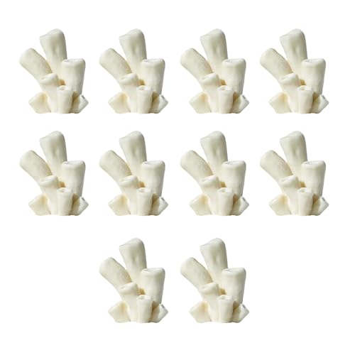 Hattba Realistische Polyresin-Korallen, Ornamente, künstliche Korallen, Aquarien, Ornamente für Zuhause und Büro, Fischtank, langlebig, 10 Stück Hattba Realistische Polyresin-Korallen, Ornamente, künstliche Korallen, Aquarien, Ornamente für Zuhause und Büro, Fischtank, langlebig, 10 Stück von Hattba