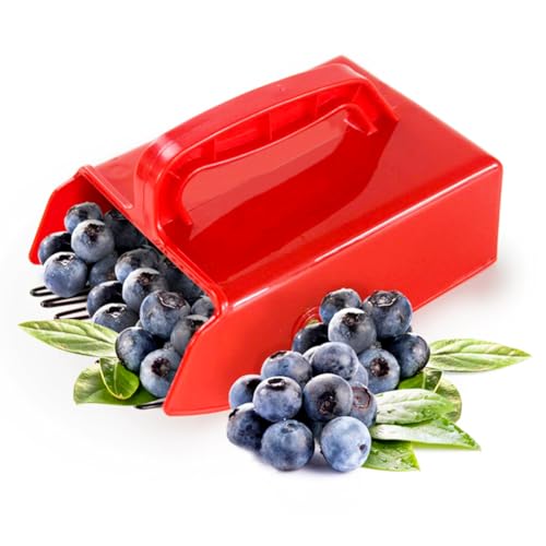 Hausio Beerenpflücker - Blaubeerkamm, Beerenkamm Heidelbeeren Obstpflücker, Blaubeeren Pflücker, Heidelbeerkamm Heidelbeerrechen Mit Stiel, Beeren Pflücken, Garten Blaubeerpflückwerkzeug (1 Stüc) von Hausio
