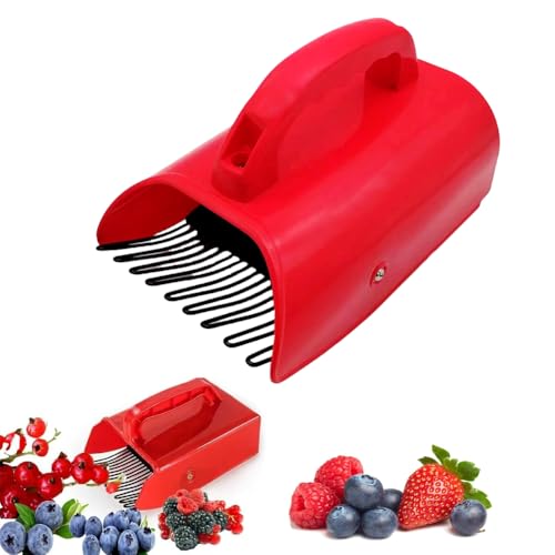 Hausio Heidelbeerkamm, Beerenpflücker, Beerenkamm Heidelbeeren, Blaubeeren Pflücker, Heidelbeerpflücker, Blaubeerkamm, Beerensammler Beeren Pflücken von Himbeeren, Brombeeren (1 Stück) von Hausio
