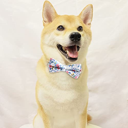 Hausio Hundehalsband mit Fliege, Kragen Hund, Kitten Hunde Halsbänder, Hundeleine mit Halsband, Langlebige Bequeme Baumwolle Halsband Hund Klein Welpe Fliege Glöckchen für Hunde (Lila, S) von Hausio
