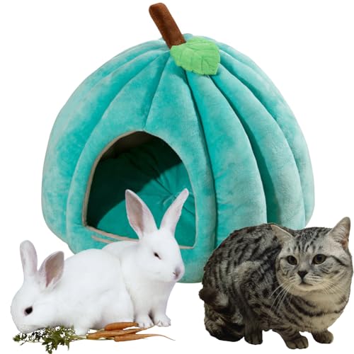 Hausio Katzenhöhle für Hauskatzen, Kürbis Katzenhaus, niedliche Kürbisform, Hundehöhle, Katzenhaus Indoor, Katzenzelt mit abnehmbarem Kissen, Welpenhaus für Katzen, kleine Hunde (Grün, M) von Hausio