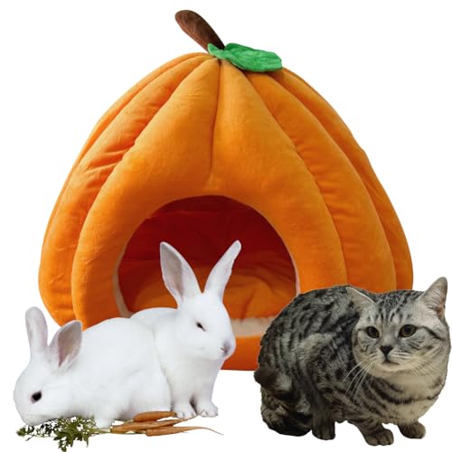 Hausio Katzenhöhle für Hauskatzen, Kürbis Katzenhaus, niedliche Kürbisform, Hundehöhle, Katzenhaus Indoor, Katzenzelt mit abnehmbarem Kissen, Welpenhaus für Katzen, kleine Hunde (Orange, L) von Hausio
