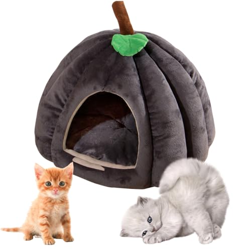 Hausio Katzenhöhle für Hauskatzen, Kürbis Katzenhaus, niedliche Kürbisform, Katzenhaus Indoor, Hundehaus, Katzenzelt mit abnehmbarem Kissen, Welpenhaus für Katzen, kleine Hunde (Grau, L) von Hausio