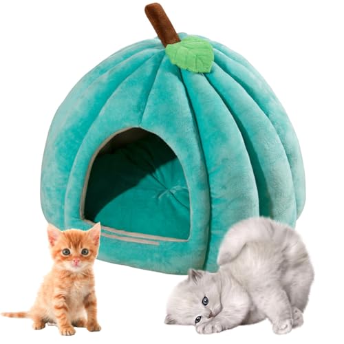 Hausio Katzenhöhle für Hauskatzen, Kürbis Katzenhaus, niedliche Kürbisform, Katzenhaus Indoor, Hundehaus, Katzenzelt mit abnehmbarem Kissen, Welpenhaus für Katzen, kleine Hunde (Grün, M) von Hausio
