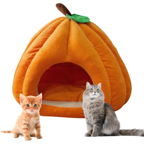 Hausio Katzenhöhle für Hauskatzen, Kürbis Katzenhaus, niedliche Kürbisform, Katzenhaus Indoor, Hundehaus, Katzenzelt mit abnehmbarem Kissen, Welpenhaus für Katzen, kleine Hunde (Orange, L) von Hausio