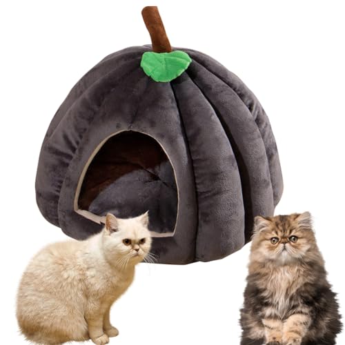 Hausio Kürbis Katzenhaus, Katzenhöhle für Hauskatzen, niedliche Kürbisform, Hundehöhle, Katzenhaus Indoor, Katzenzelt mit abnehmbarem Kissen, Welpenhaus für Katzen, kleine Hunde (Grau, L) von Hausio