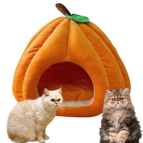 Hausio Kürbis Katzenhaus, Katzenhöhle für Hauskatzen, niedliche Kürbisform, Hundehöhle, Katzenhaus Indoor, Katzenzelt mit abnehmbarem Kissen, Welpenhaus für Katzen, kleine Hunde (Orange, M) von Hausio