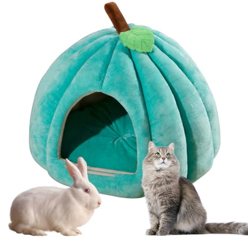 Hausio niedliche Kürbisform, Katzenhöhle für Hauskatzen, Kürbis Katzenhaus, Katzenhaus Indoor, Hundehaus, Katzenzelt mit abnehmbarem Kissen, Welpenhaus für Katzen, kleine Hunde (Grün, M) von Hausio