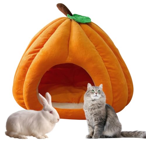 Hausio niedliche Kürbisform, Katzenhöhle für Hauskatzen, Kürbis Katzenhaus, Katzenhaus Indoor, Hundehaus, Katzenzelt mit abnehmbarem Kissen, Welpenhaus für Katzen, kleine Hunde (Orange, M) von Hausio