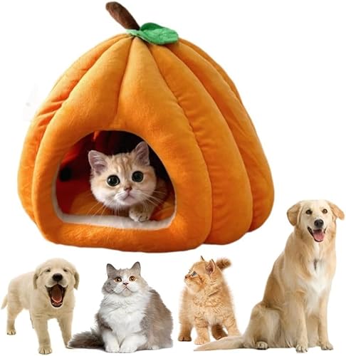Katzenbett Kürbis-Form Halloween, Katzen-Iglu-Betten und Sofa Katzenhöhlen, Cat Cave Bett, Geschlossene thermische Katzenhaus, Weich Bequeme Dampproof-Katzenbetten für Innenkatzen (Orange, L) von Hausio