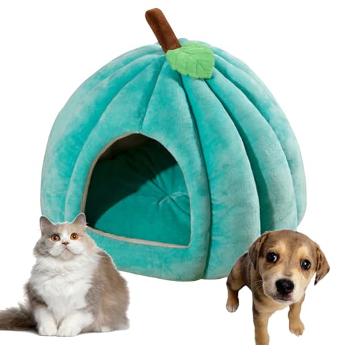 Katzenhöhle für Hauskatzen, Kürbis Katzenhaus, niedliche Kürbisform, Hundehöhle, Katzenhaus Indoor, Katzenzelt mit abnehmbarem Kissen, warmes Welpenhaus für Katzen, kleine Hunde (Grün, M) von Hausio