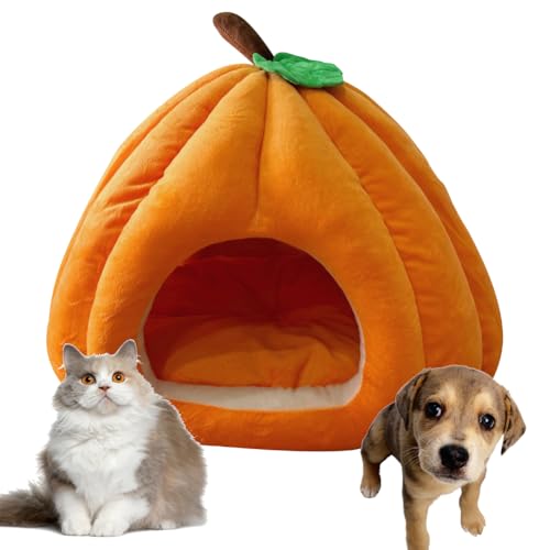 Katzenhöhle für Hauskatzen, Kürbis Katzenhaus, niedliche Kürbisform, Hundehöhle, Katzenhaus Indoor, Katzenzelt mit abnehmbarem Kissen, warmes Welpenhaus für Katzen, kleine Hunde (Orange, M) von Hausio