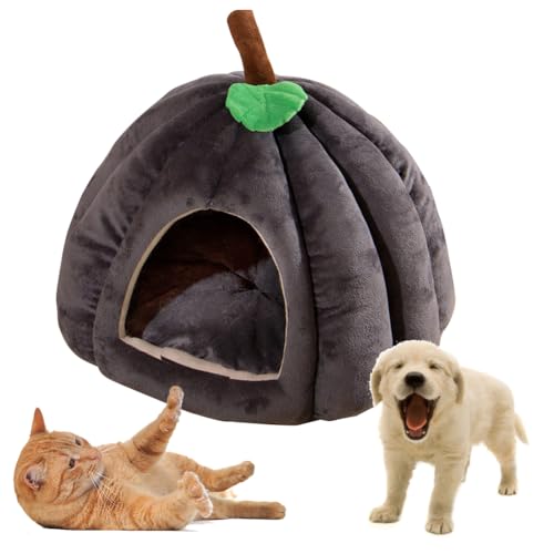 Katzenhöhle für Hauskatzen, Warmes Kürbis Katzenhaus, niedliche Kürbisform, Hundehöhle, Katzenhaus Indoor, Katzenzelt mit abnehmbarem Kissen, Welpenhaus für Katzen, kleine Hunde (Grau, M) von Hausio