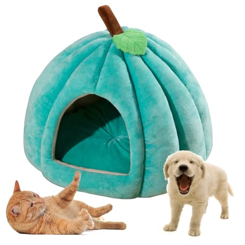 Katzenhöhle für Hauskatzen, Warmes Kürbis Katzenhaus, niedliche Kürbisform, Hundehöhle, Katzenhaus Indoor, Katzenzelt mit abnehmbarem Kissen, Welpenhaus für Katzen, kleine Hunde (Grün, L) von Hausio
