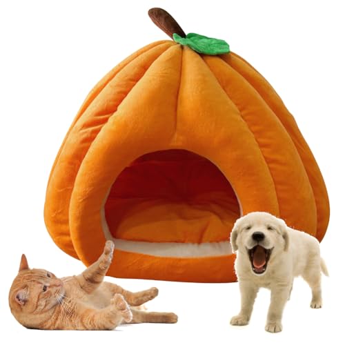 Katzenhöhle für Hauskatzen, Warmes Kürbis Katzenhaus, niedliche Kürbisform, Hundehöhle, Katzenhaus Indoor, Katzenzelt mit abnehmbarem Kissen, Welpenhaus für Katzen, kleine Hunde (Orange, L) von Hausio