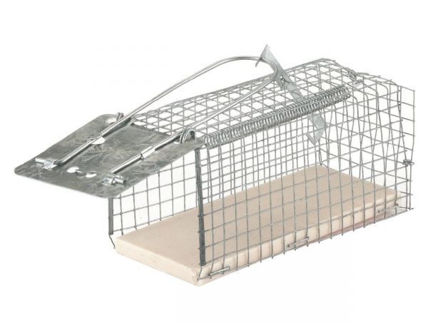 Drahtkasten-Mausefalle ALIVE, Drahtkäfig, Lebendfalle für Mäuse Drahtkasten-Mausefalle ALIVE, Drahtkäfig, Lebendfalle für Mäuse von Hausmarke