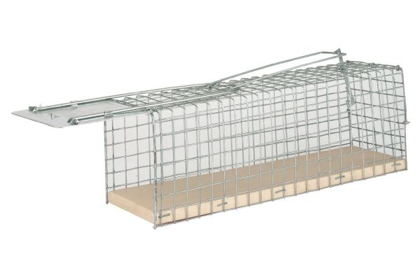 Drahtkasten-Rattenfalle ALIVE, Drahtkäfig, Lebendfalle für Ratten Drahtkasten-Rattenfalle ALIVE, Drahtkäfig, Lebendfalle für Ratten von Hausmarke